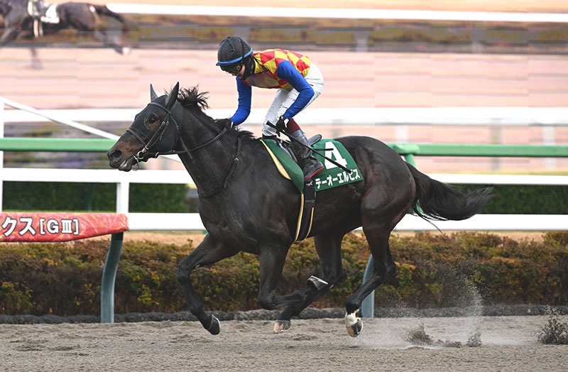 �S�[���O�ʐ^