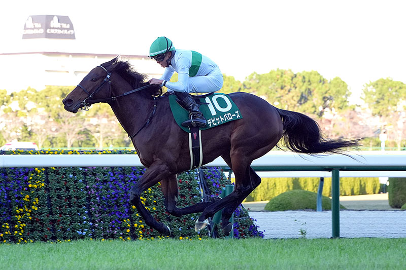 �S�[���O�ʐ^