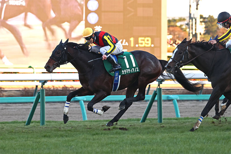 �S�[���O�ʐ^