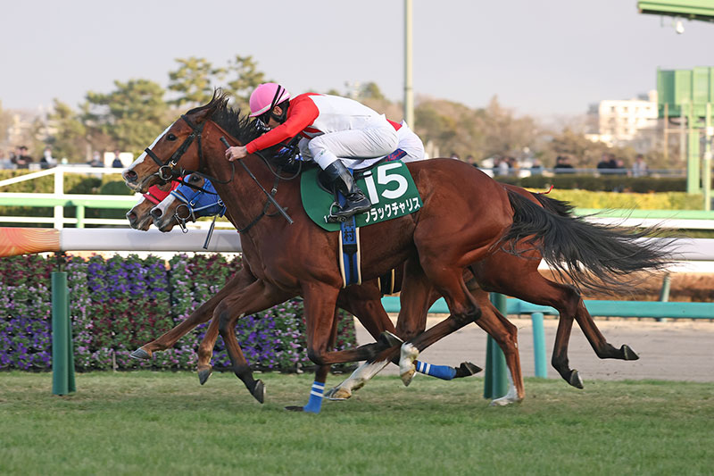 �S�[���O�ʐ^