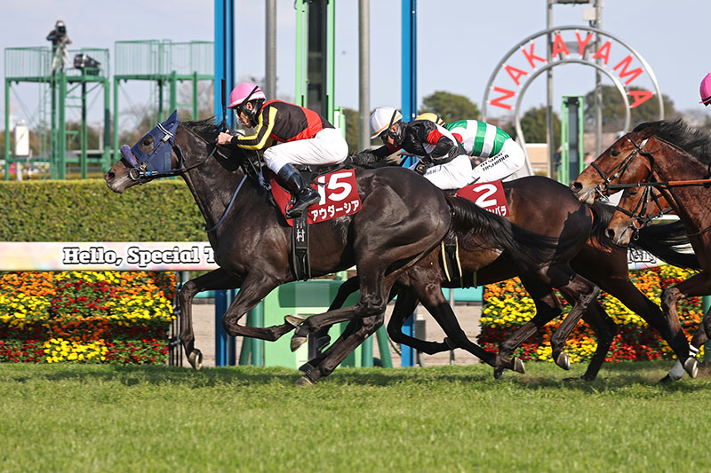 �S�[���O�ʐ^