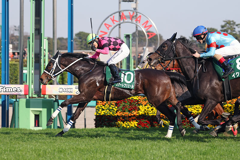 �S�[���O�ʐ^