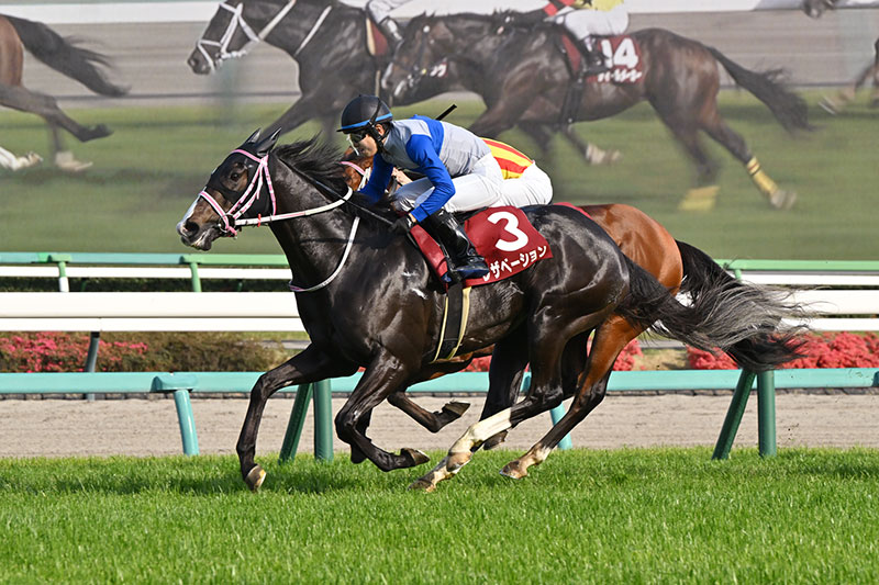 �S�[���O�ʐ^