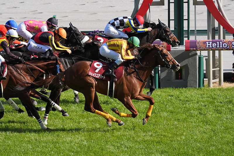 �S�[���O�ʐ^