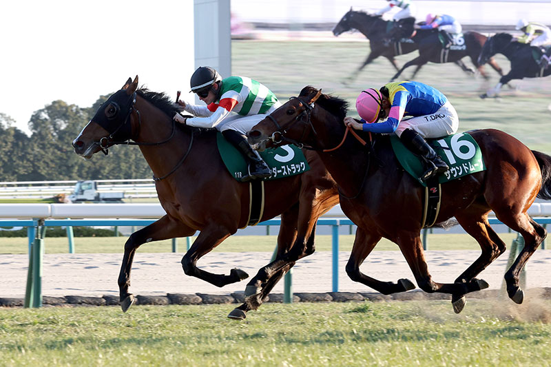 �S�[���O�ʐ^