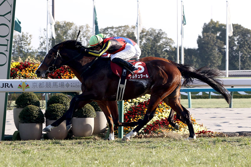 �S�[���O�ʐ^