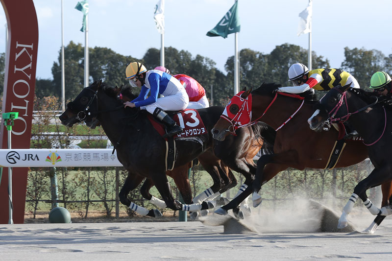 �S�[���O�ʐ^