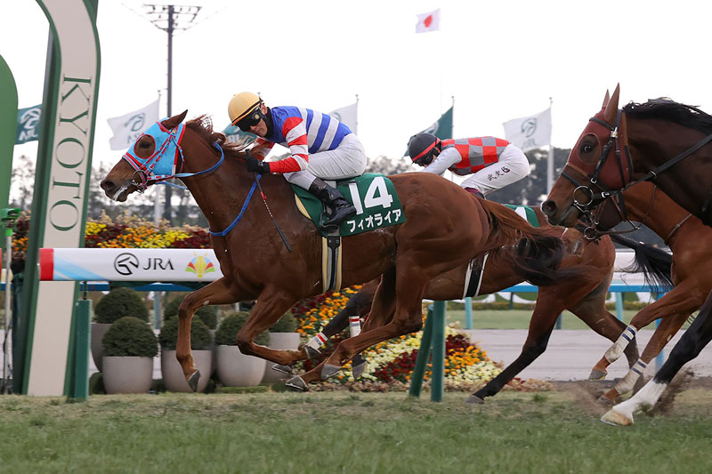 �S�[���O�ʐ^