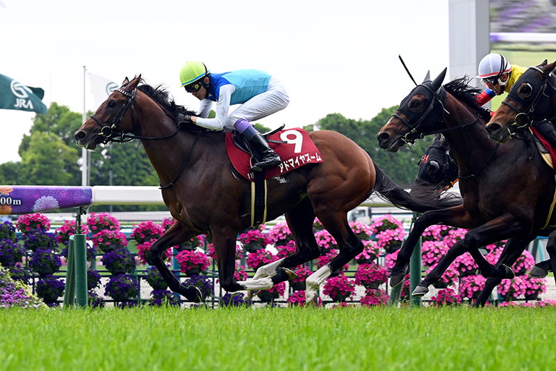 �S�[���O�ʐ^