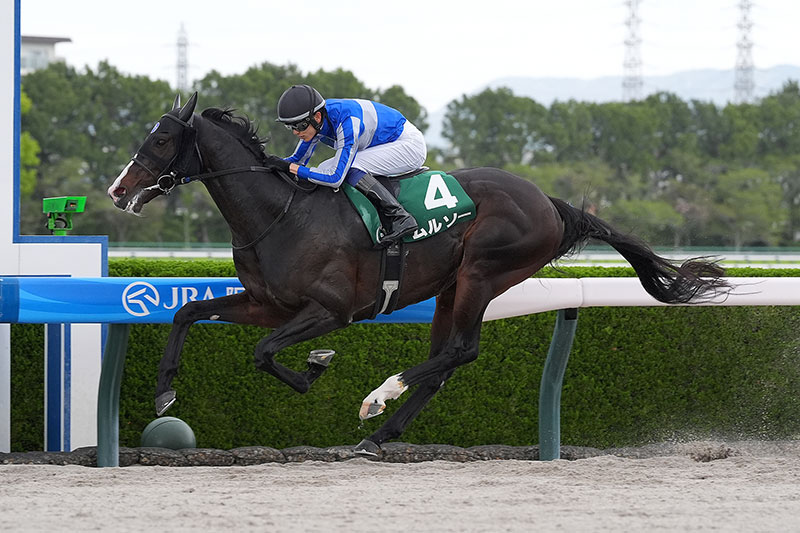 �S�[���O�ʐ^