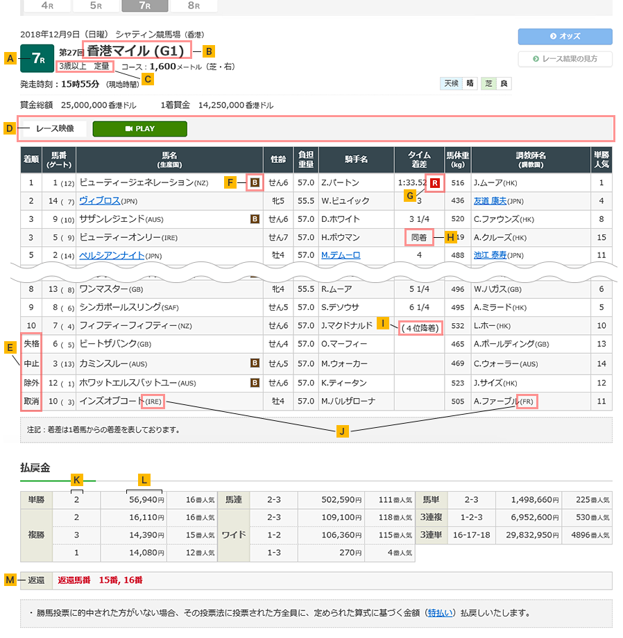 レース結果サンプル