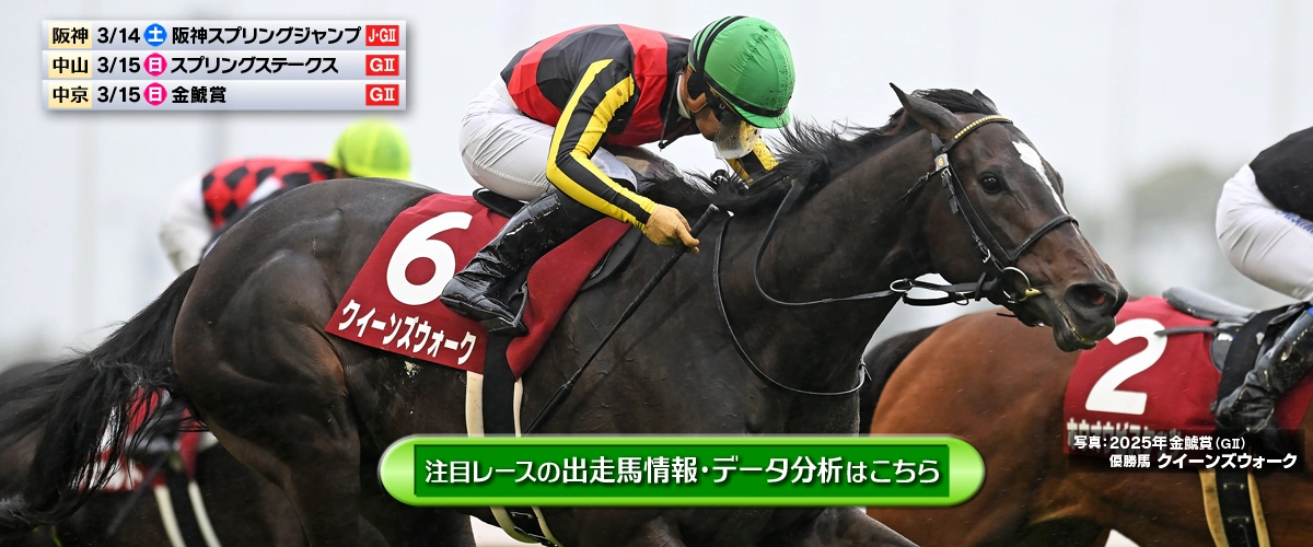 ���T�̒��ڃ��[�X