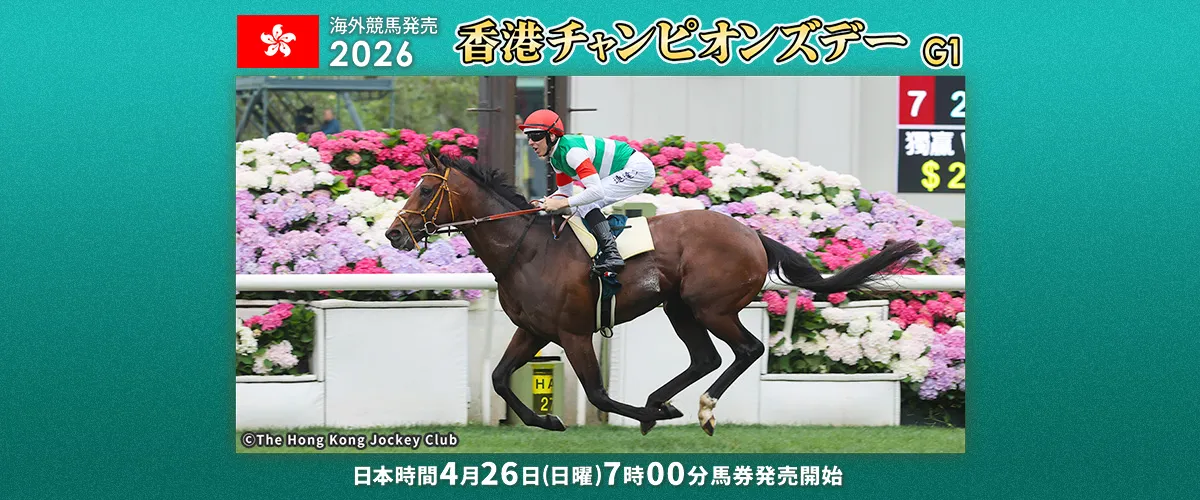 2026�z���R���`�����s�I���Y�f�[