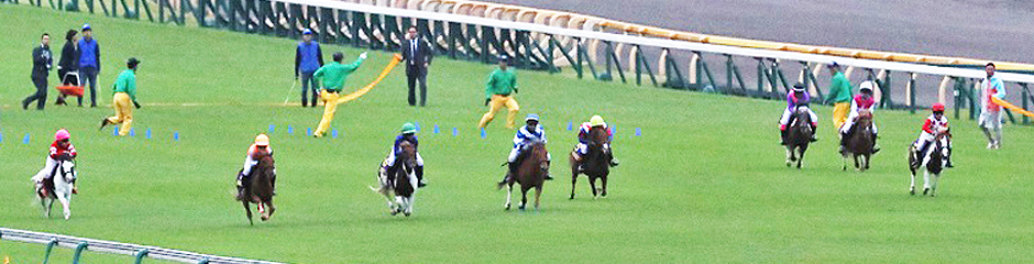 昨年のレースの模様
