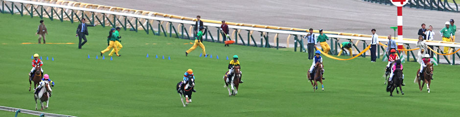 ��N�̃��[�X�̖͗l