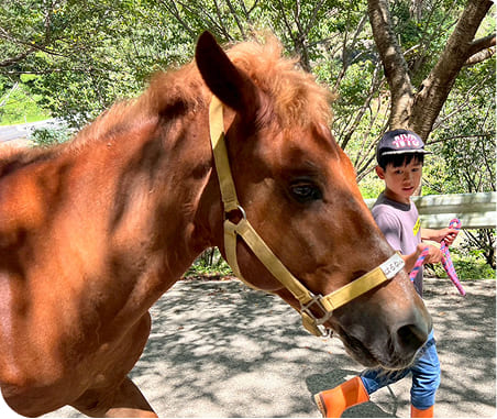 �×�����̔n�Ƃ��J�B<br>�����ւȂ��A�ݗ��n�̍�