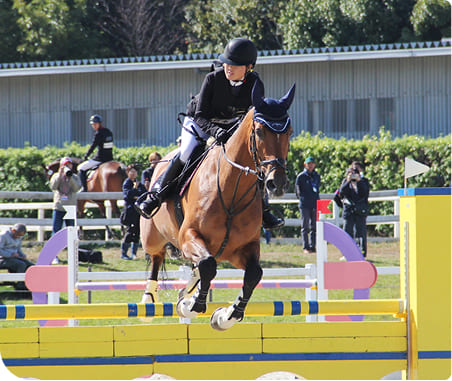 �n�p����_���܂ŁBJRA���Ȃ��X�|�[�c�̖���