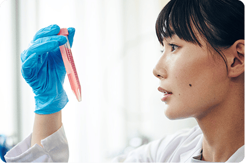 �Љ�v�������ւ̑z��