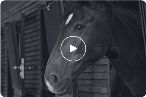 �o�C�I�}�X���d