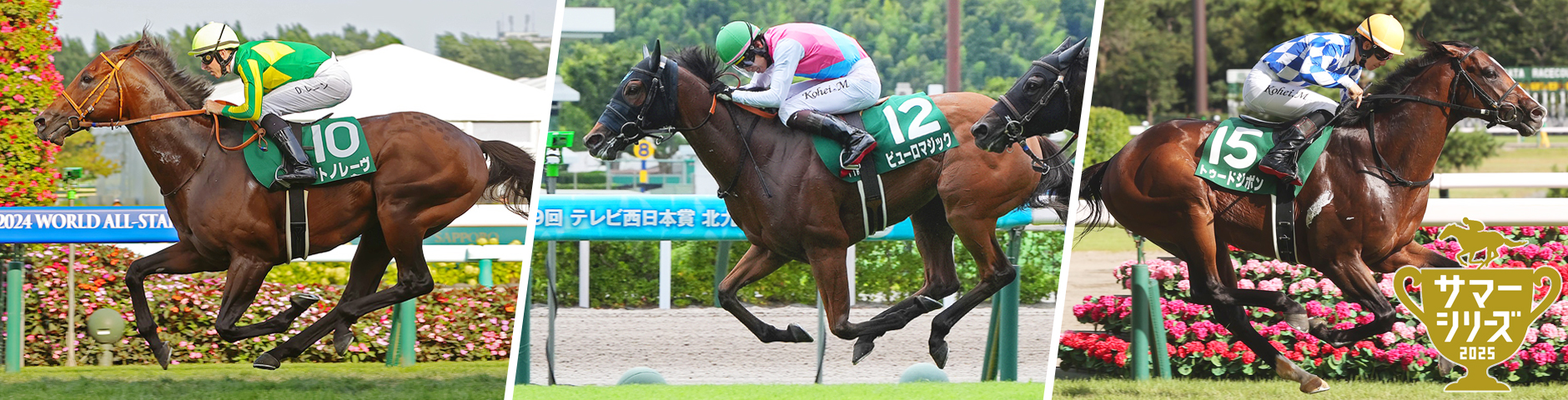 サマーシリーズ2025