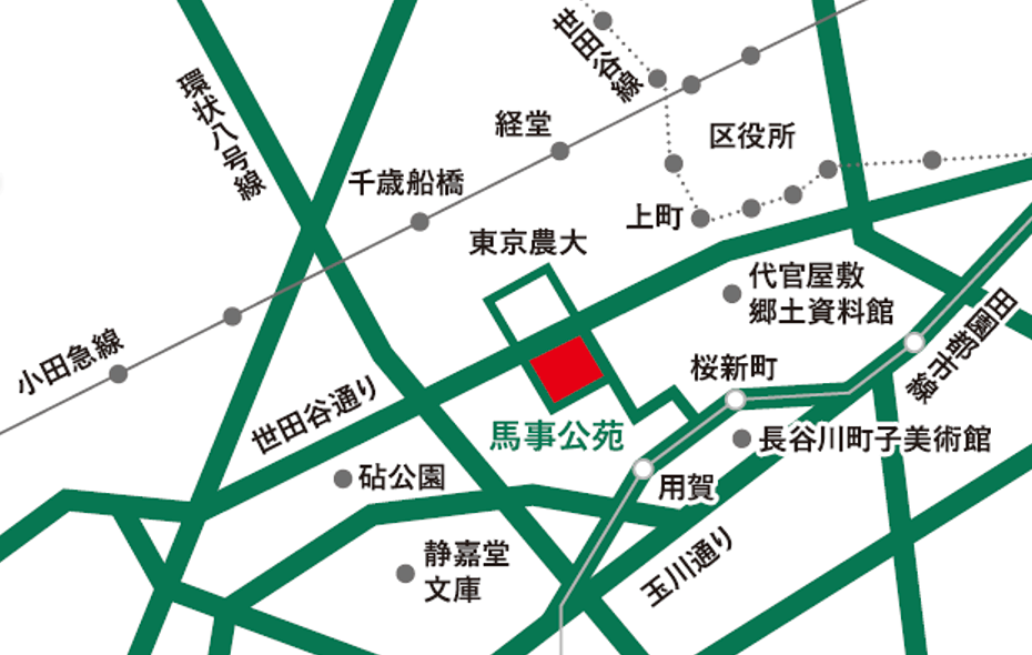 �n�������}�b�v