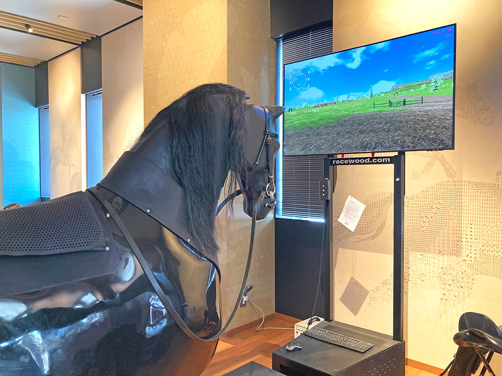 ホースシミュレーター写真