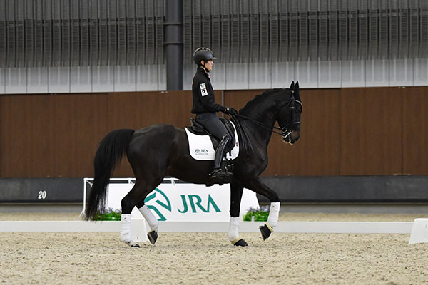 �n�p�t�H�[�����i���n�j