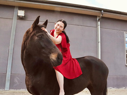 �n�p�t�H�[�����i�s���j