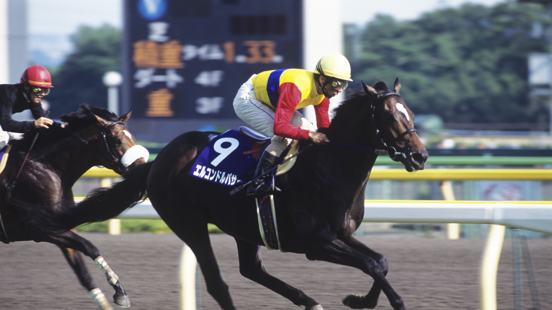 1998�N NHK�}�C���J�b�v