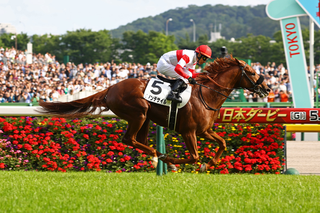 ダノンデサイル