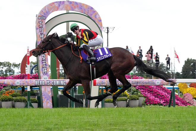 スタニングローズ