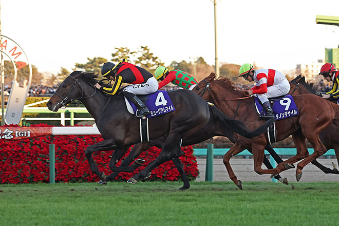 �~���[�W�A���}�C��