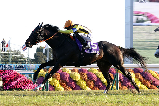 �W�����^���}���^��