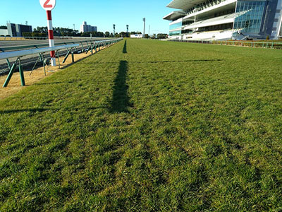 ���ʒ���