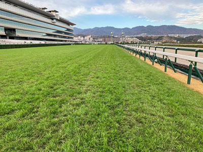 ���ʒ���