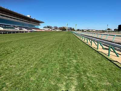 ���ʒ���