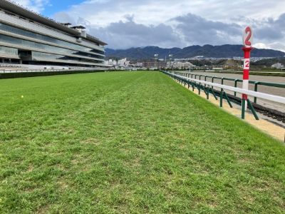 ���ʒ���