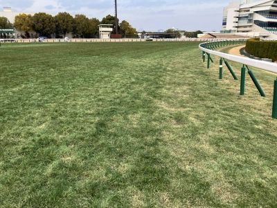 �O���4�R�[�i�[