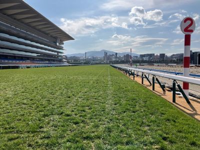 ���ʒ���