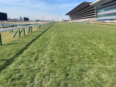 ���ʒ���