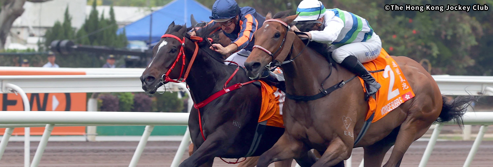 �`�����s�I���Y�}�C�� �C���[�W