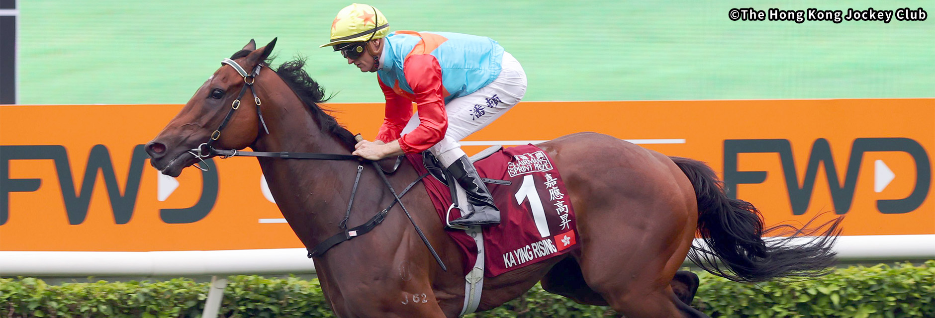 �`�F�A�}���Y�X�v�����g�v���C�Y �C���[�W