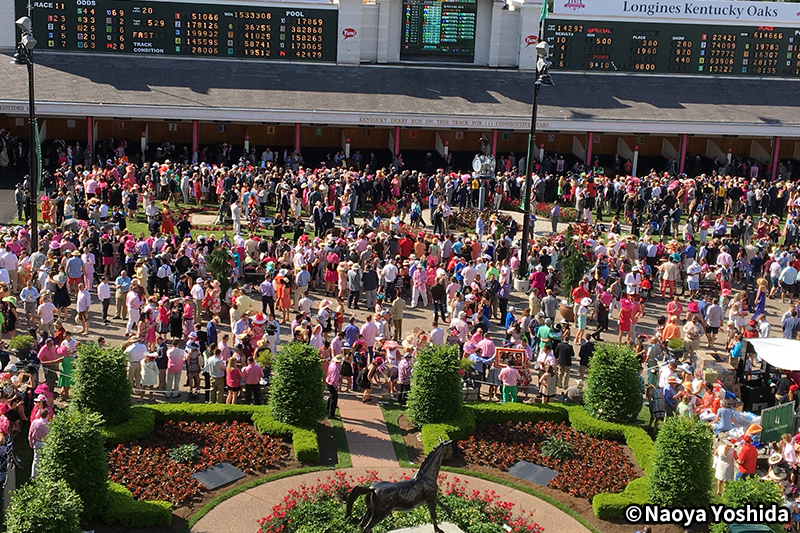 �A�����J���n�C���[�W�ʐ^1