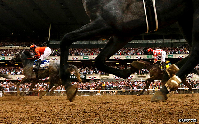 ベルモントパーク競馬場 イメージ4
