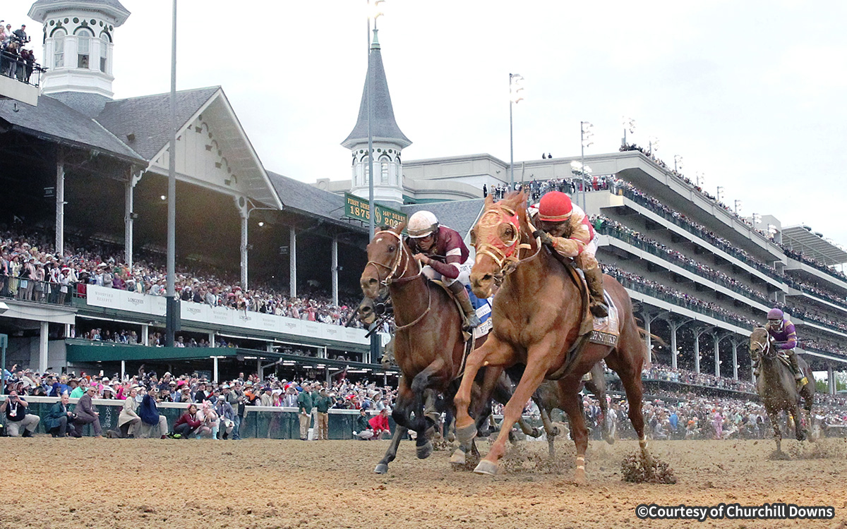 �`���[�`���_�E���Y���n�� �C���[�W4