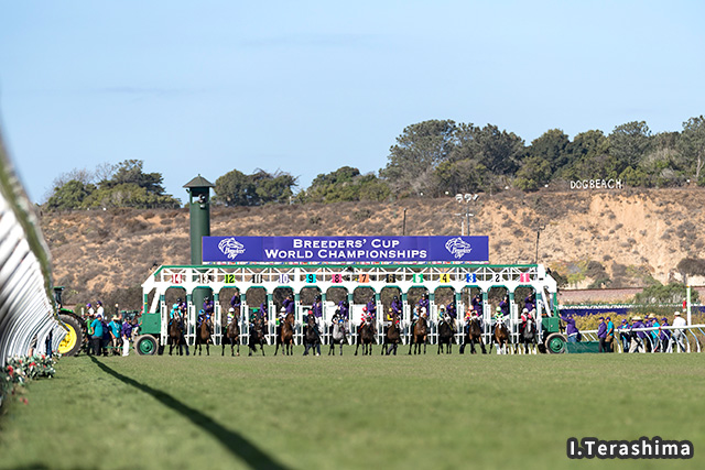 デルマー競馬場 イメージ1