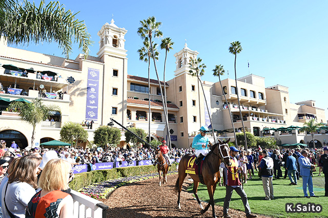 デルマー競馬場 イメージ2