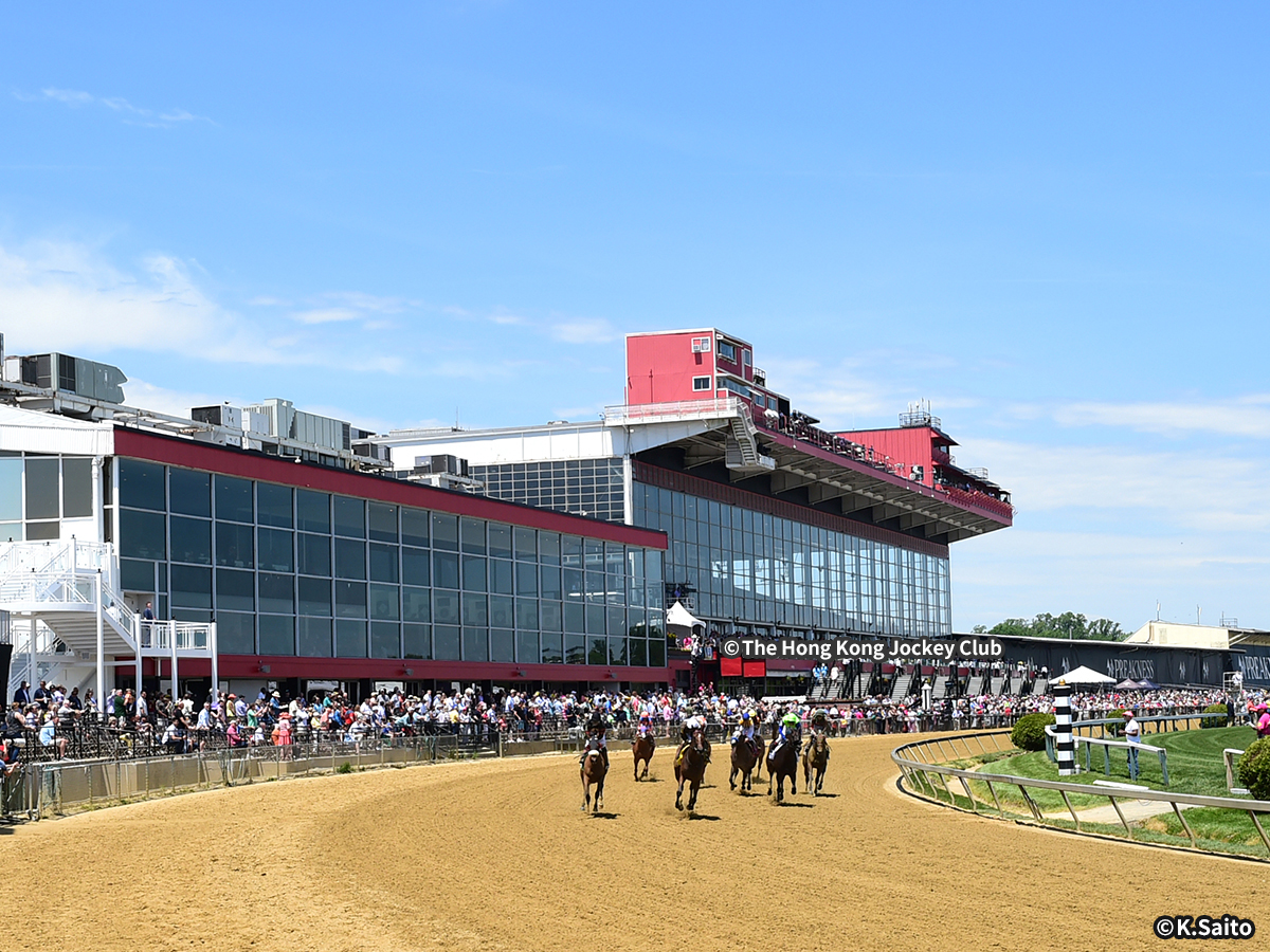 ピムリコ競馬場 イメージ1