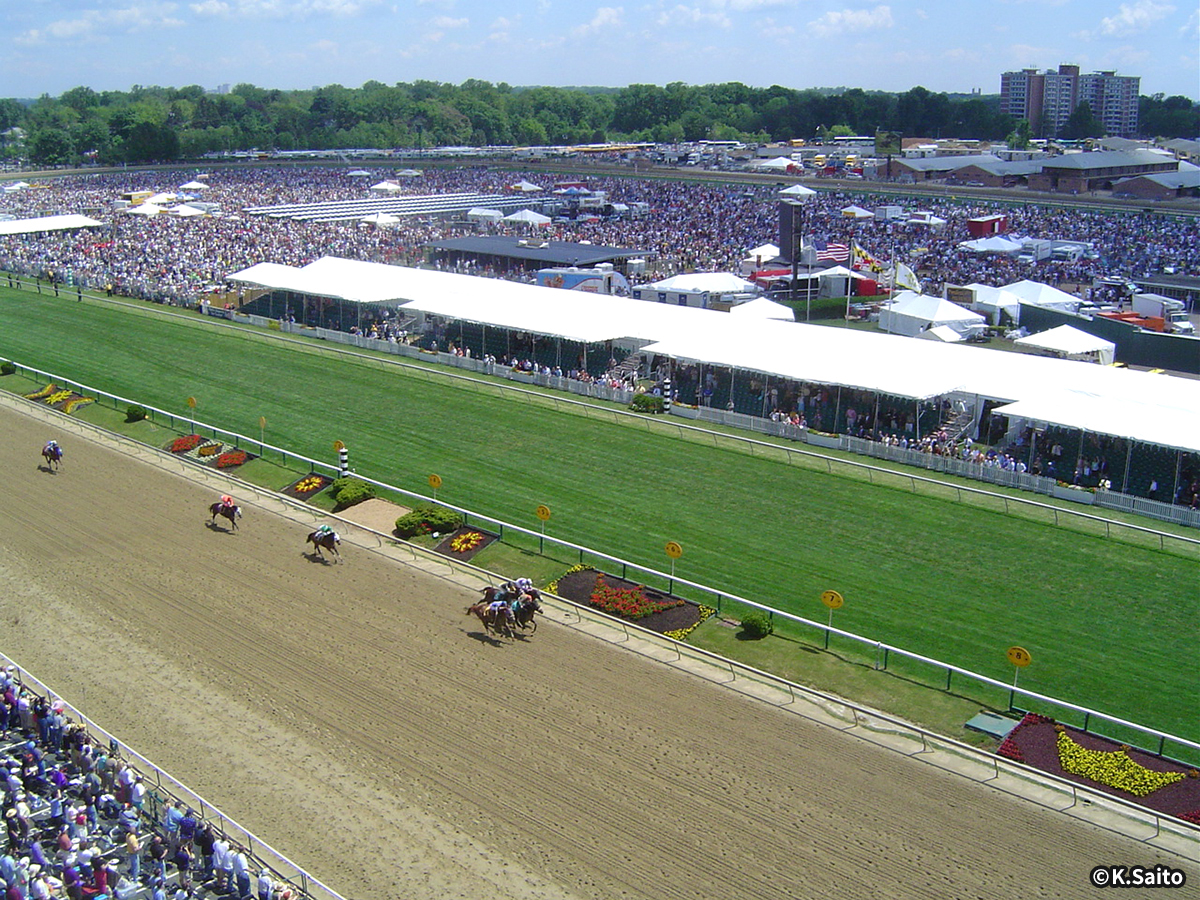 ピムリコ競馬場 イメージ2