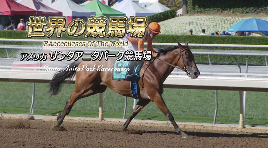 �T���^�A�j�^�p�[�N���n��@�Љ�[�r�[